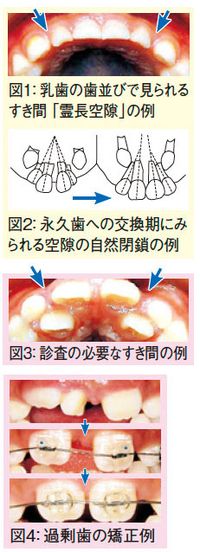 タウン誌図